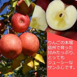 スマートフレッシュりんご サンふじ 秀品 約3...の詳細画像1