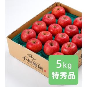 りんご サンふじ 特秀品 約5kg /常温便 送料無料 長野 産地直送 果物 フルーツ 贈答 ギフト 信州 数量限定