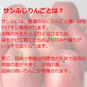 りんご サンふじ 特秀品 約5kg /常温便 ...の詳細画像3