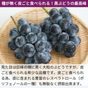 ぶどう ナガノパープル 約1kg /送料無料 ...の詳細画像2