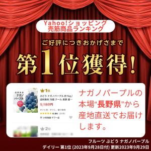 ぶどう ナガノパープル 約1kg /送料無料 ...の詳細画像5