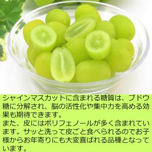 ぶどう シャインマスカット 約1kg/送料無料...の詳細画像3