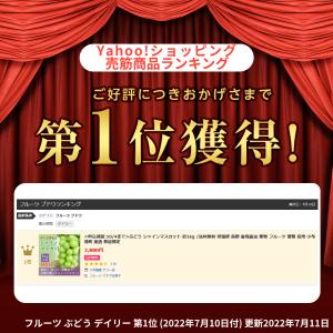 ぶどう シャインマスカット 約3kg /送料無...の詳細画像5