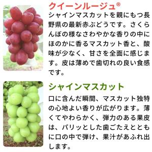 シャインマスカット&クイーンルージュ(R) 約...の詳細画像1