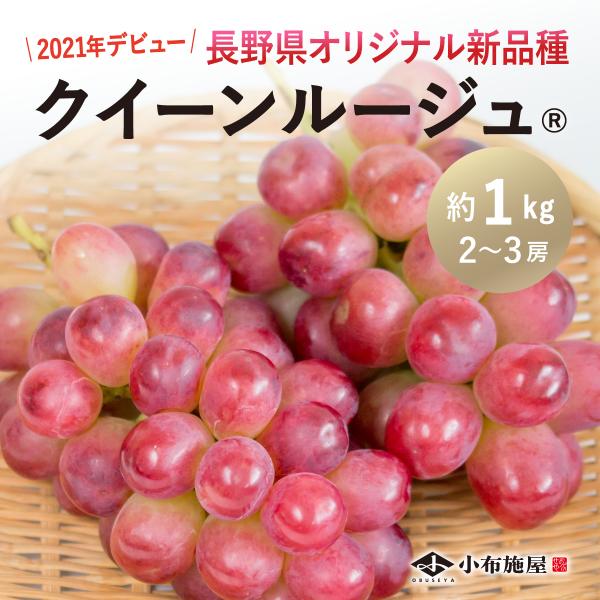 ぶどう クイーンルージュ(R) 約1kg /冷蔵便 送料無料 長野 産地直送 フルーツ 果物 葡萄 ...