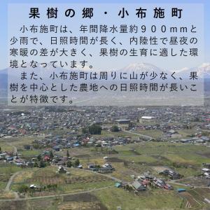 ぶどう クイーンルージュ(R) 約1kg /冷...の詳細画像4