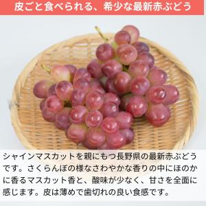 ぶどう クイーンルージュ(R) 約1kg /冷...の詳細画像2