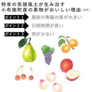 ぶどう クイーンルージュ(R) 約1kg /冷...の詳細画像5