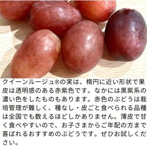 ぶどう クイーンルージュ(R) 約1kg /冷...の詳細画像3