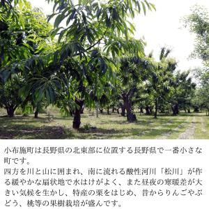 冷凍 小布施栗ペースト 加糖 12kg(1kg...の詳細画像4