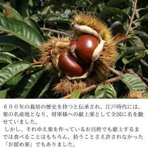 冷凍 小布施栗ペースト 加糖 12kg(1kg...の詳細画像5