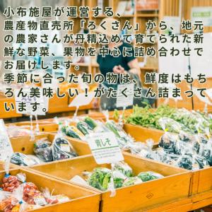 旬の野菜・果物セット(送料無料)【冷蔵発送】直...の詳細画像1