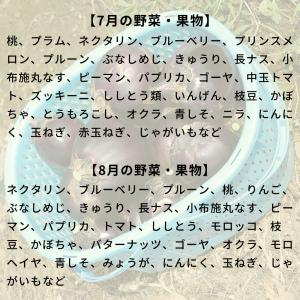 旬の野菜・果物セット(送料無料)【冷蔵発送】直...の詳細画像2