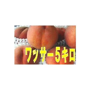 信州小布施お得用ワッサー桃 5キロ大箱