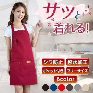 エプロン おしゃれ 保育士 大きいサイズ メンズ レディース ワンピース 撥水 ロング丈 無地 防水