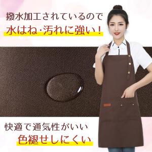 エプロン おしゃれ 保育士 大きいサイズ メン...の詳細画像2