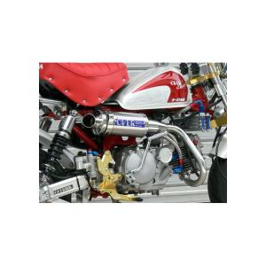 ステンチタン アップマフラー （SS/Ti Up-MuFFleR） OVER RACING