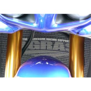 アグラス コアガード Bタイプ／ロゴ無 YZF-R1 09-12 (309-271-B00)