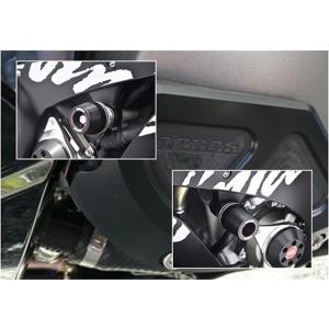 アグラス フレーム＋スタータB BLK ZX-10R 16 (342-497-005B)