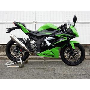 Ninja250SL/ABS スリップオンマフラー ラウンド/ソリッドチタンサイレンサー  WR’S...