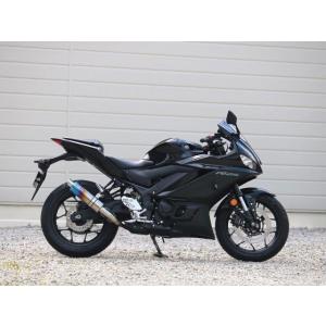 YAMAHA YZF-R25/MT-25 S.O.Vショートチタンオーバル焼き色タイプ   WR’S...