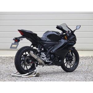 AKRAPOVIC フルエキゾースト マフラー yzf r125 アクラポビッチ フルエキゾーストマフラー YZF-R15/R125