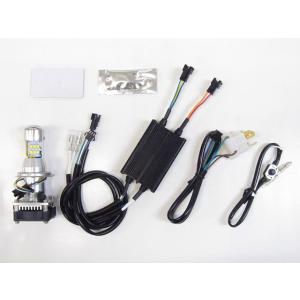 PROTEC プロテック LEDヘッドライトバルブキット H4R Hi/Lo LB4HL-R 600...