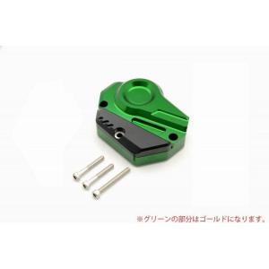 RIDEA リデア エンジンカバー 右側 (カラー:ゴールド) CP-KA01-R-GD  Kawa...