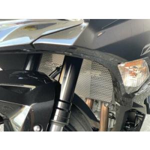 kawasaki Ninja ZX-25R/SE/KRT STRIKER ストライカー SS-CG1...