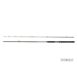 ヒラメ シーバス 青物 ルアー ベイトキャスティング ルアーロッド ocean TR04W-9'0B