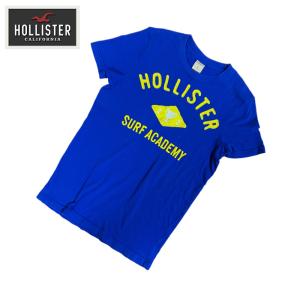 HOLLISTER (ホリスター) メンズ Tシャツ ブルー Sサイズ