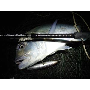 OKINAWA MANBIKA 110SXHの商品画像