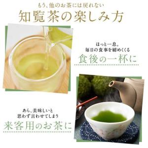 お茶 茶 知覧茶 ちらん茶 送料無料 お茶のぶ...の詳細画像5