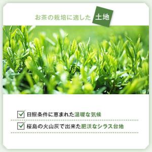 お茶 茶 緑茶 送料無料 お茶のぶどう園 大綱...の詳細画像2