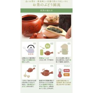お茶 茶 知覧茶 ちらん茶 送料無料 お茶のぶ...の詳細画像5