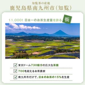 《期間未定販売中止します》お茶 茶 知覧茶 ち...の詳細画像5
