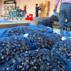 青森県産 大和しじみ汁 1食 しじみちゃん本舗...の詳細画像3