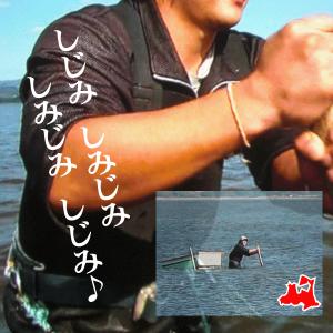 青森県産 大和しじみ汁 1食 しじみちゃん本舗...の詳細画像4