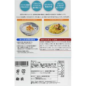 静岡市 梅辰株式会社 梅にんにく2kg 500...の詳細画像1