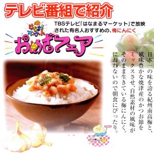 静岡市 梅辰株式会社 梅にんにく2kg 500...の詳細画像3