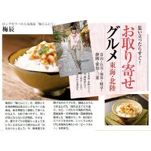 静岡市 梅辰株式会社 梅にんにく2kg 500...の詳細画像4