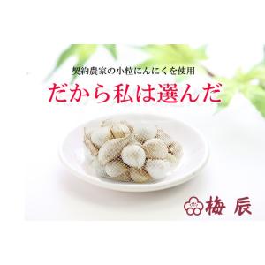 静岡市 梅辰株式会社 梅にんにく200g 10...の詳細画像3
