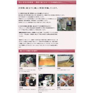 静岡市 梅辰株式会社 梅にんにく200g 10...の詳細画像5