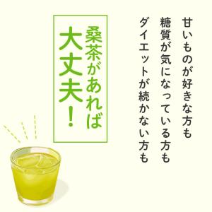 桑茶 ダイエット お茶 国産 無添加 30包 ...の詳細画像3