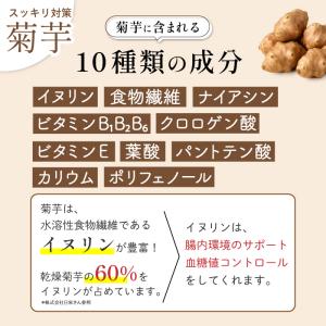 ダイエット お茶 健康茶 菊芋 桑茶 100包...の詳細画像3
