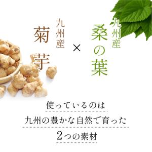 ダイエット お茶 健康茶 菊芋 桑茶 100包...の詳細画像4