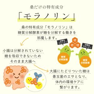 ダイエット お茶 健康茶 菊芋 桑茶 100包...の詳細画像5
