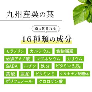 ダイエット お茶 黒豆 桑茶 30包 ティーバ...の詳細画像4