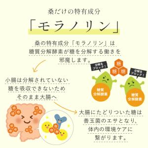 ダイエット お茶 黒豆 桑茶 30包 ティーバ...の詳細画像5
