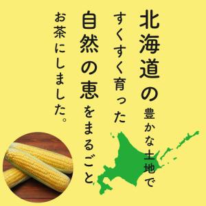 コーン茶 とうもろこし茶 50包 北海道産 水...の詳細画像1